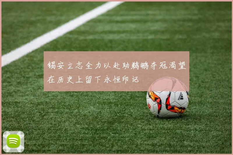 锡安立志全力以赴助鹈鹕夺冠渴望在历史上留下永恒印记