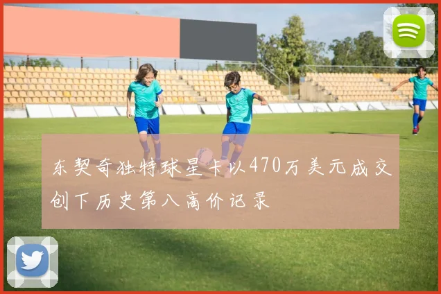 东契奇独特球星卡以470万美元成交创下历史第八高价记录
